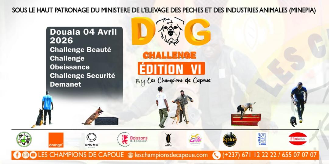 Dog challenge edition 6 